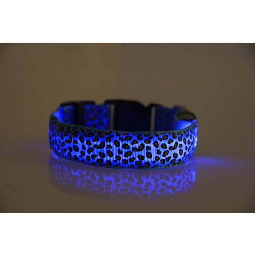 ���� ������� ���������� ��� �������� �� ������������ ���������� �����, ������ S, ������ ������