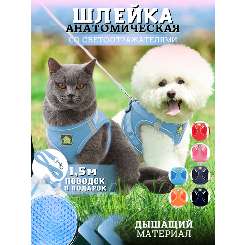 ���� ������ ��� ����� ������ ����� � ����� � ��������, ������ ������