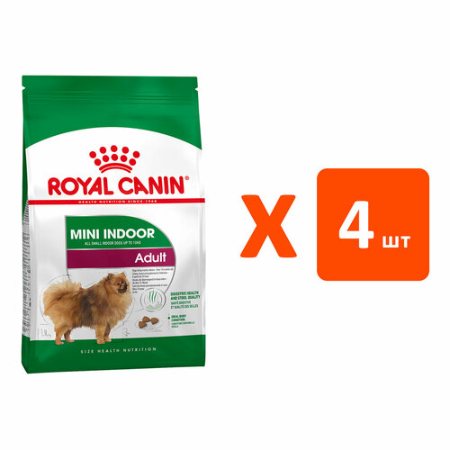  ROYAL CANIN MINI INDOOR LIFE ADULT        (3   4 )   -     , -  