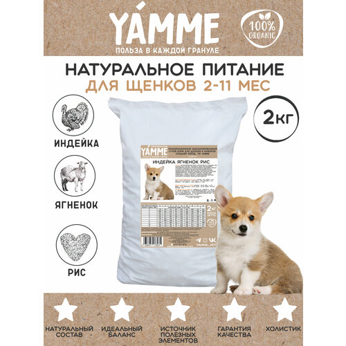    YAMME     2      -     , -  