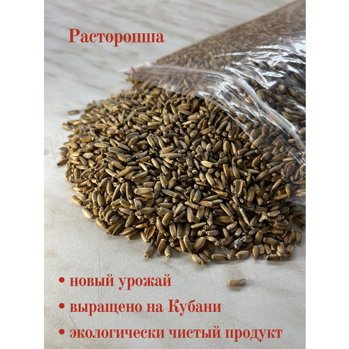 ���� ����������, ������ ���������� ���� ��� �����, �������, �������� �����, ��������, ��������, ������, ��������, �����, �������� 5000 �., ������ ������