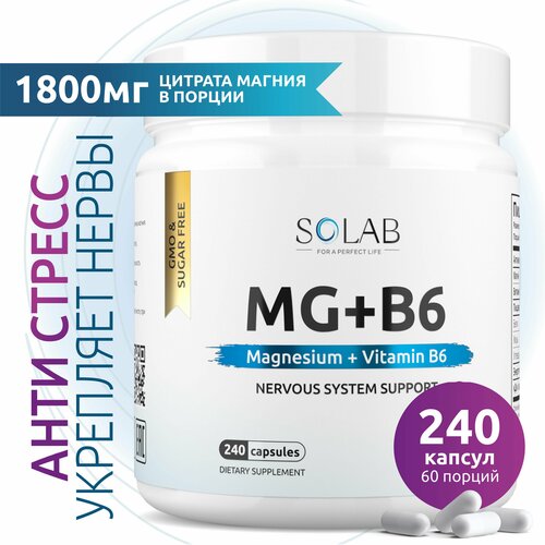 ���� ������ �6 (������ ������ � ��������� �6), �������� ��� ������� �������, 240 ������, ������ ������