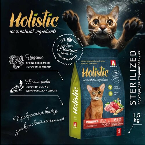        , Holistic     1,5    -     , -  