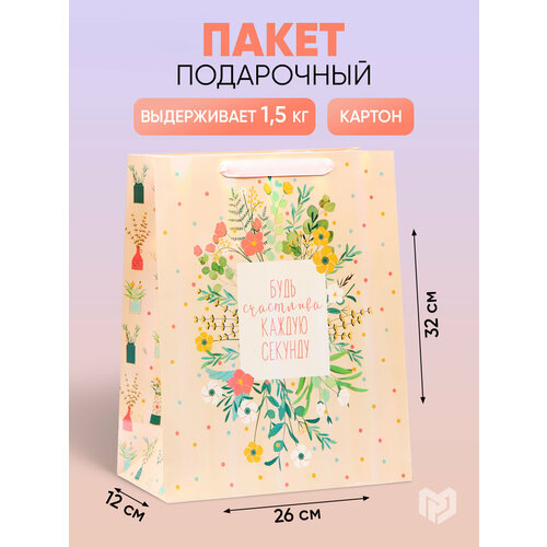 ���� ����� ���������� �������������� ����� ���������, 26 ? 32 ? 12 ��, ������ ������