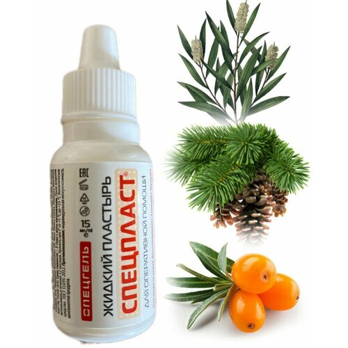 ���� �������� ������ 