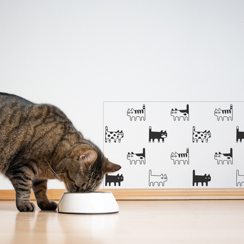 ���� �������� ������������� ������ / ������ ��� ������������� ���� � ���� �� ����� ��������� ��� ������� 