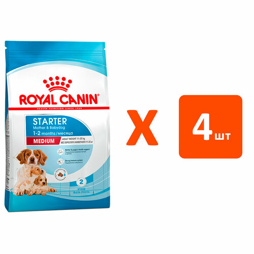  ROYAL CANIN MEDIUM STARTER      2 ,     (4   4 )   -     , -  