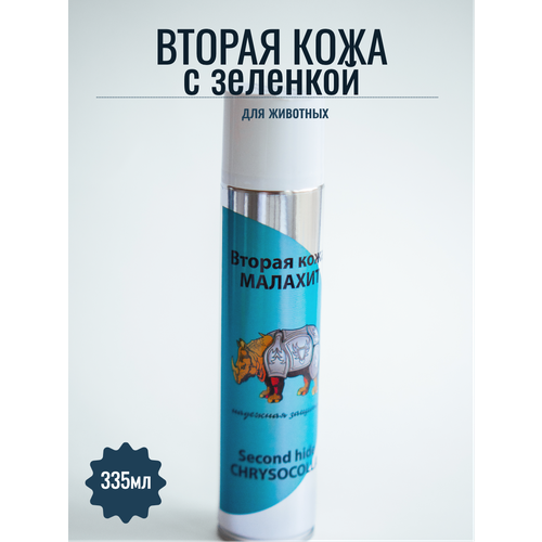 ���� ������ ���� � �������� 