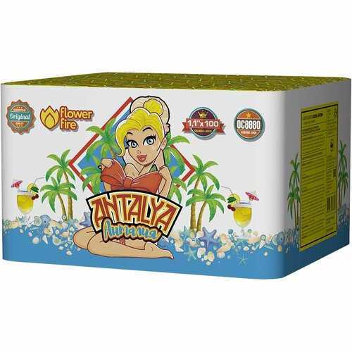 ���� ��������� �������� ������ �������, ������ ������