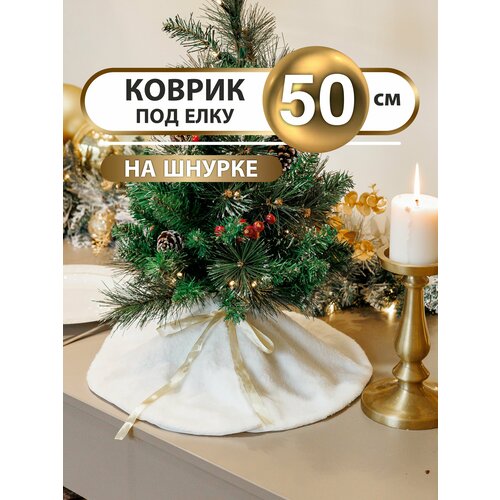 ���� ������ ��� ���� ������ ��� ����, ������ ������