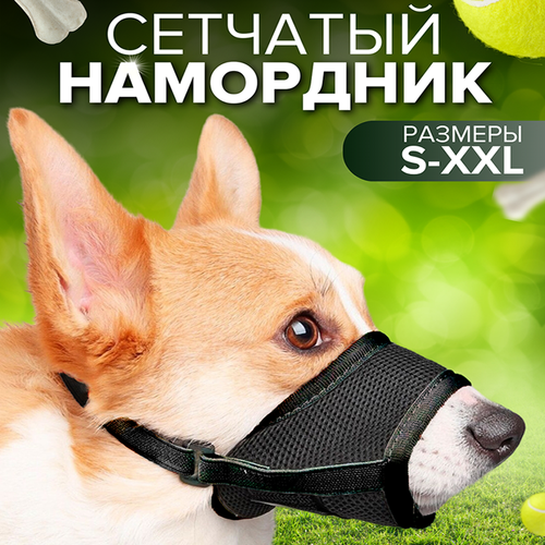 ���� ��������� ��� ����� ������ XLL, ������ ������