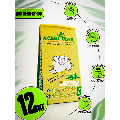      Acari Ciar A`Cat MAINE COON Turkey 12      -     , -  