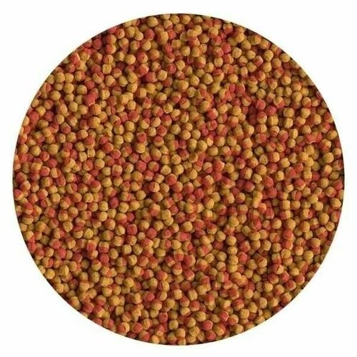  Tetra Cichlid Colour Pellets 100    /  ,      -     , -  