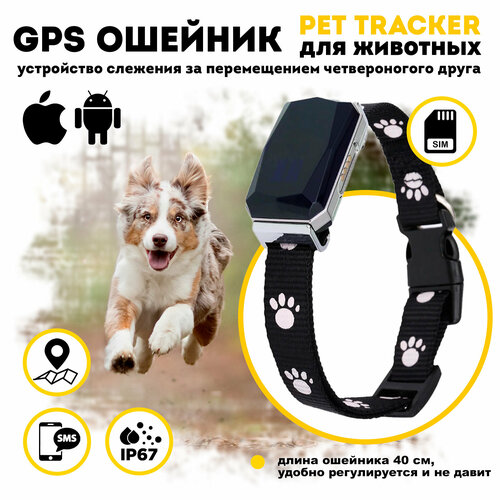  GPS        -     , -  