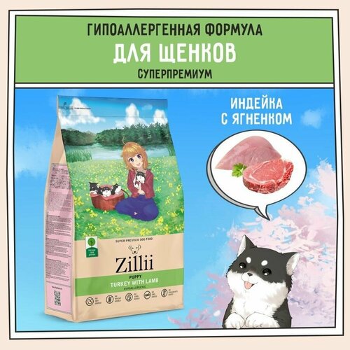      3 ,  ZILLII () Puppy,      -     , -  