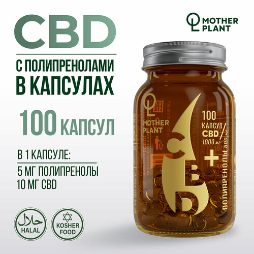   CBD     (100   10 ), Motherplant   -     , -  