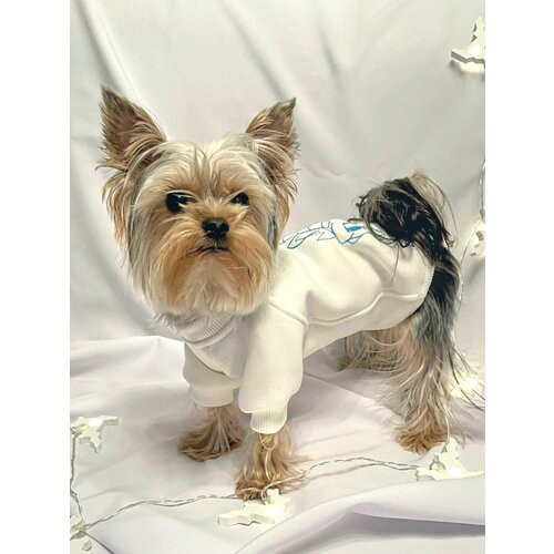 ���� ��������� ��� ����� � ����� ������ ����� (��������, ������� ������), ������ ������