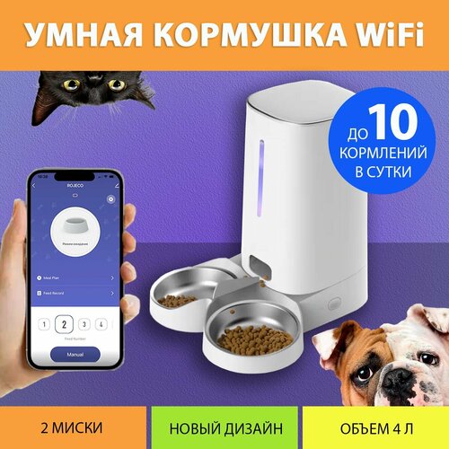     , WiFi ( )  4 ,    IPETMON   -     , -  