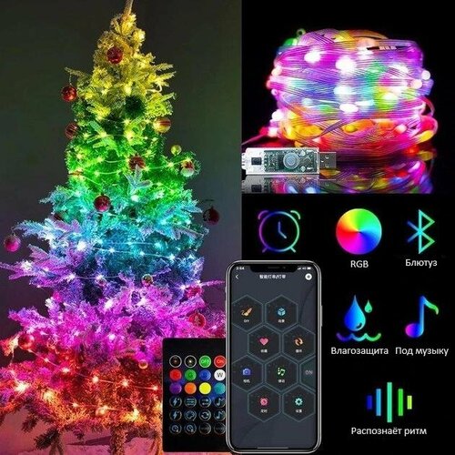     RaslGoodS RGB 10 , 100 LED   -     , -  