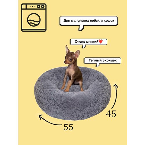 ���� ������� ��� ����� � ����� �� ������� 55�45, ������ ������