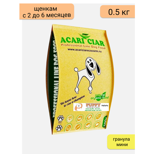    Acari Ciar    2  6  Puppy 0,5  ( ),  