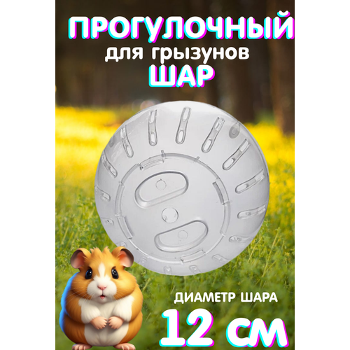 ���� ��� ����������� ��� ������� , ��� ��� ��������, ������� ��� ��������, 120 ��. ����������, ������ ������