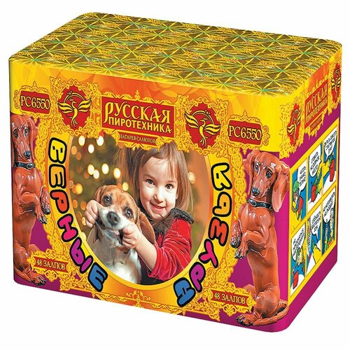 ���� ������� ������� ������� ����������� ������ ������ ��6550, 48 ������, ������������ 21.5 �� 14 ��, ������ ������