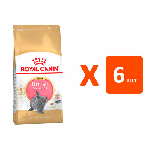  ROYAL CANIN BRITISH SHORTHAIR KITTEN 34     (2   6 )   -     , -  