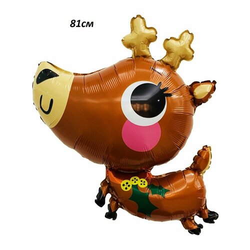 ���� ��������� ���� �� ����� ��� 2025 �����, ������ ������