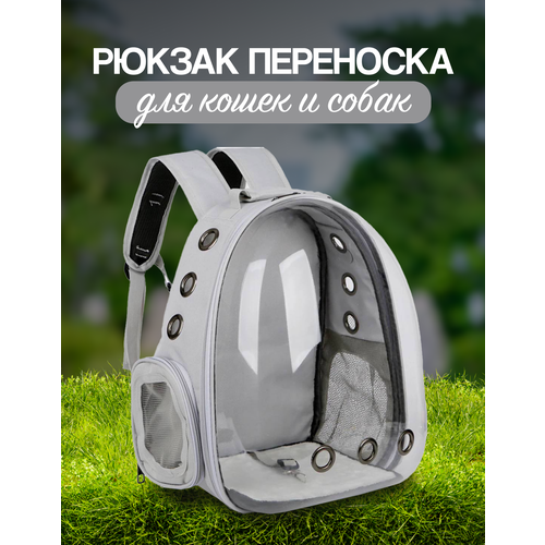 ���� ������ ��������� ��� ����� � ����� � ������������� �� 7 �� ���� �����, ������ ������