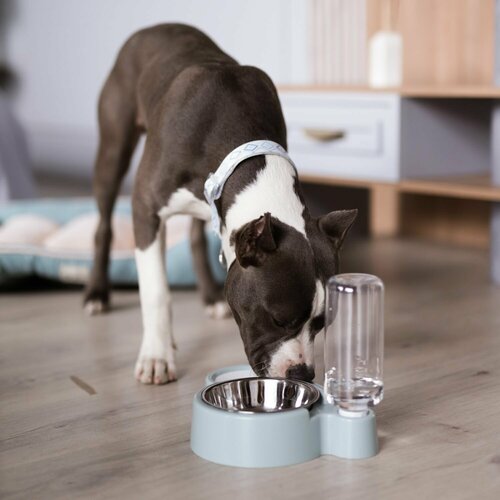 ���� ����� � ������� ��� �����, ��� �����, ��� ��������, 