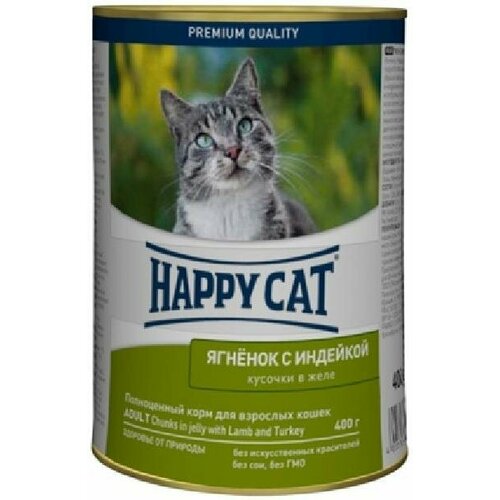  Happy cat         0,4  23327 (6 )   -     , -  