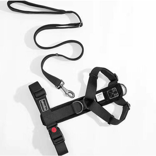 ���� �������� ������������� ������ + ������� � �������� �������� XS, ������ ������