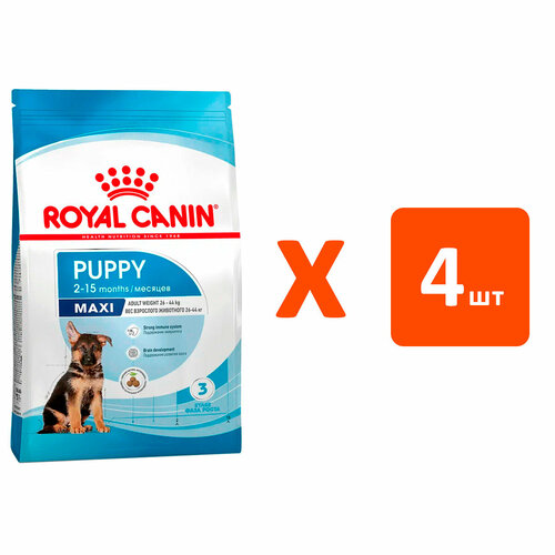  ROYAL CANIN MAXI PUPPY     (3   4 )   -     , -  