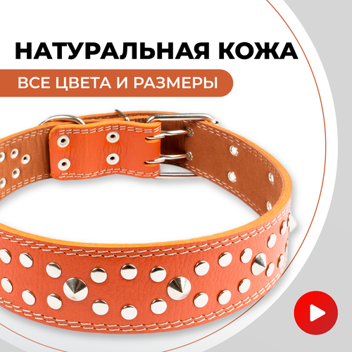 ���� ������� ������� ��� ������� �����, ��� ������� ����� �������, ������ ������