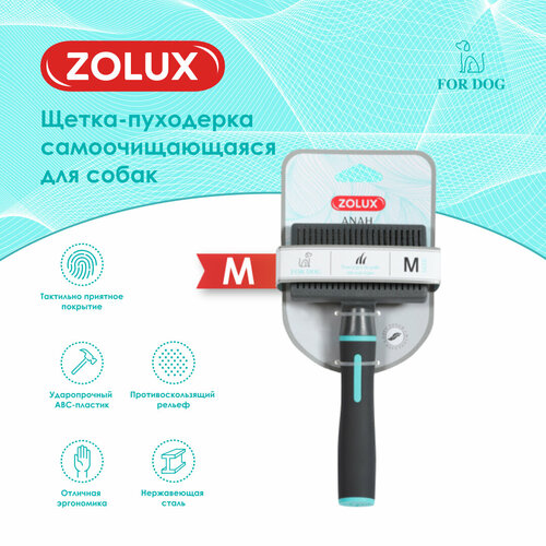  Zolux -     NEW,    -     , -  