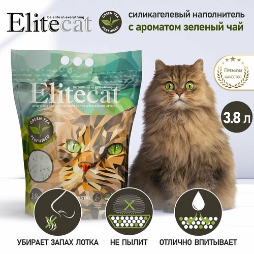       ELITECAT 