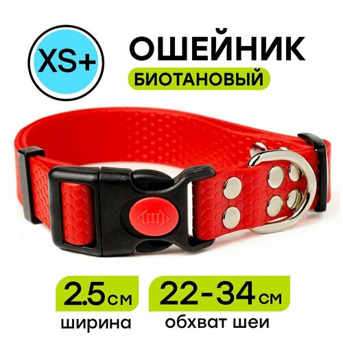 ���� ������� �� ������� 22-34 �� (XS+), 25 ��, Woofy 