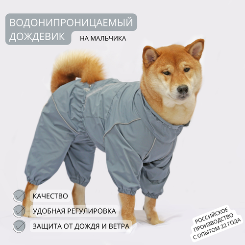 ���� �������� ���������� ��� ����� �����, ������ ������