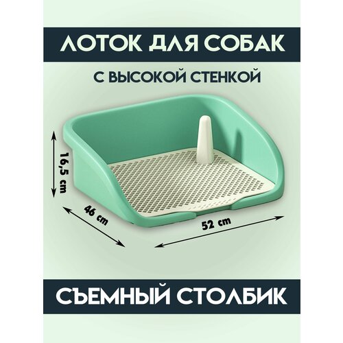 ���� ����� ������ ��� ����� �� ���������, �������, ������ ������