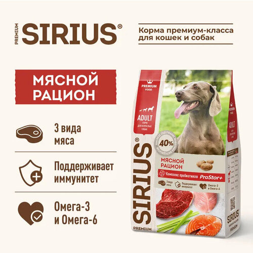  SIRIUS      ,    (15 )   -     , -  