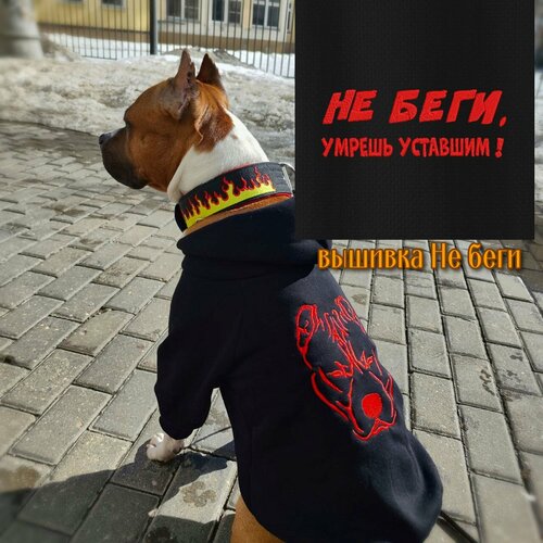 ���� ���� ��� ����� � �������� 