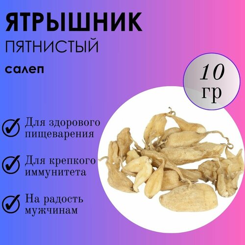 ���� �������� 