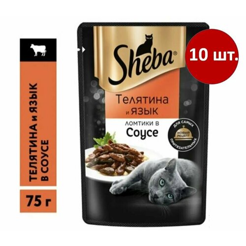      Sheba       , 75  10    -     , -  