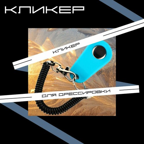 ���� ������ ��� �����, ��� �����������, � ���������� �� �����, � ���������, �������, ������ ����������� ��������� / ALTER DOG, ������ ������