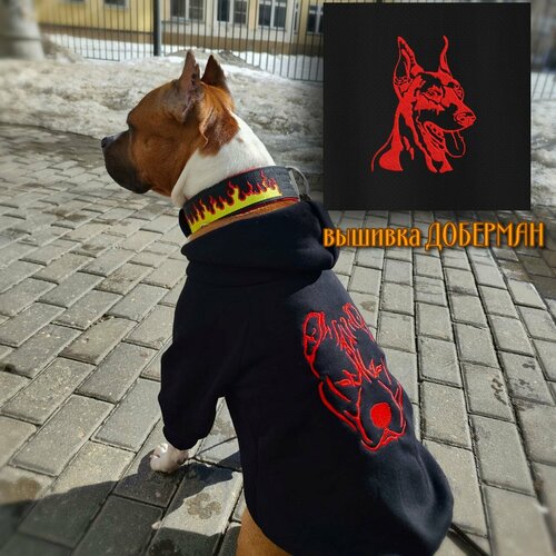 ���� ���� ��� ����� � �������� �������� �� DOGTON ������� � ������� �����. ���� � ������� � ��������� ��� ��������. ������ 