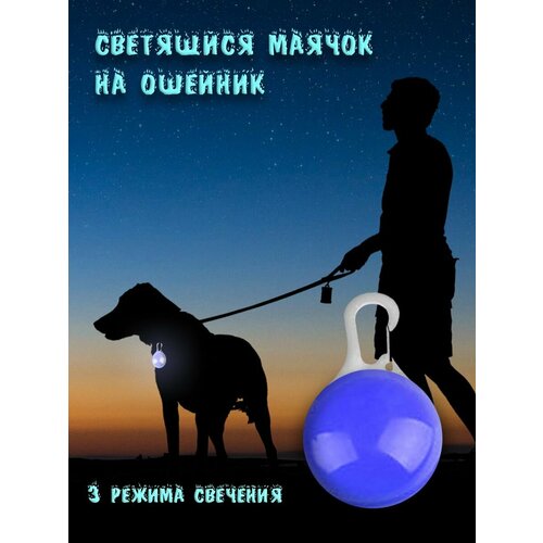 ���� ������ �� �������, ���������� �����, ������ ������