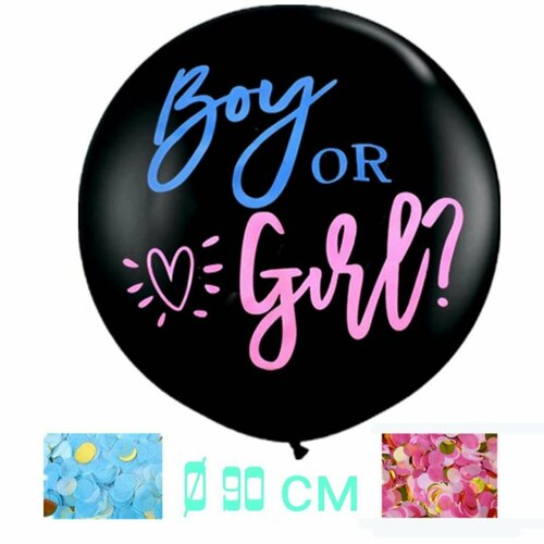      Gender Reveal Party        -     , -  