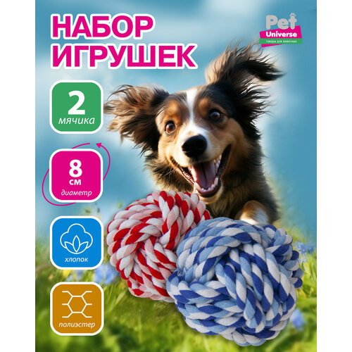     Pet Universe   2-  ,  6,5 ,  PU9028   -     , -  