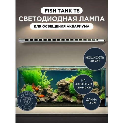      Fish Tank 8 112   -     , -  